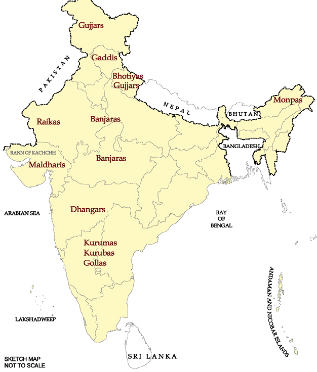 05: Pastoralists in the modern world / India and the Contemporary World-I