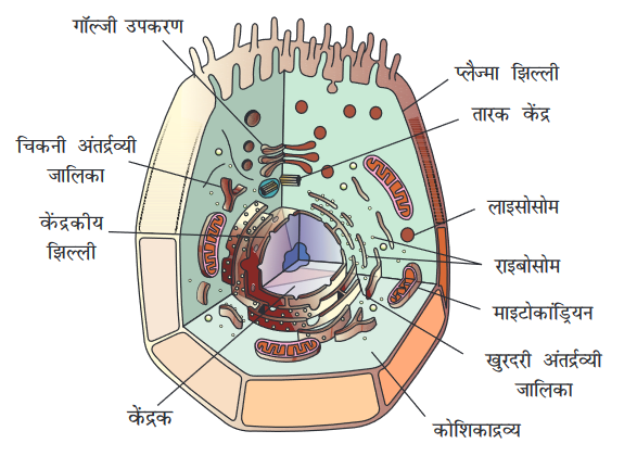 Screenshot-2018-5-29 CHAP 5 pmd - Chap 5 pdf(5)