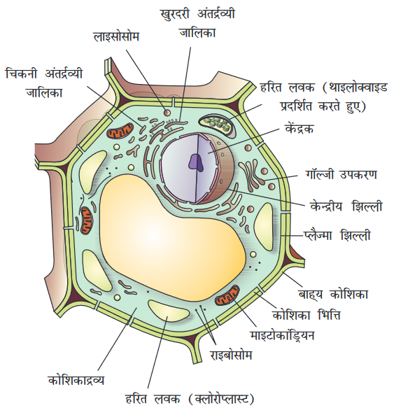 Screenshot-2018-5-29 CHAP 5 pmd - Chap 5 pdf(6)