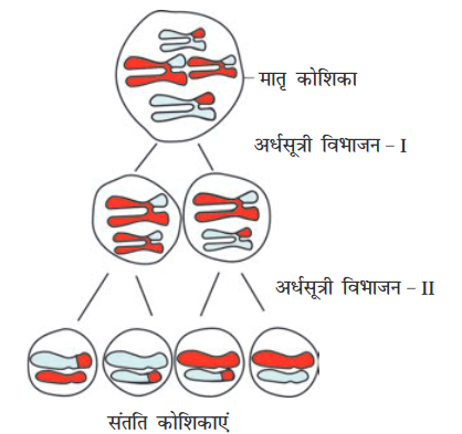 Screenshot-2018-5-29 CHAP 5 pmd - Chap 5 pdf(9)