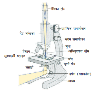 Screenshot-2018-5-29 CHAP 5 pmd - Chap 5 pdf