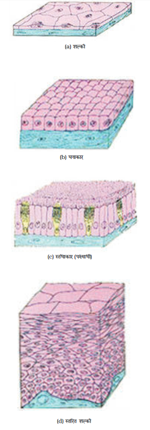 Screenshot-2018-5-29 CHAP 6 pmd - Chap 6 pdf(10)