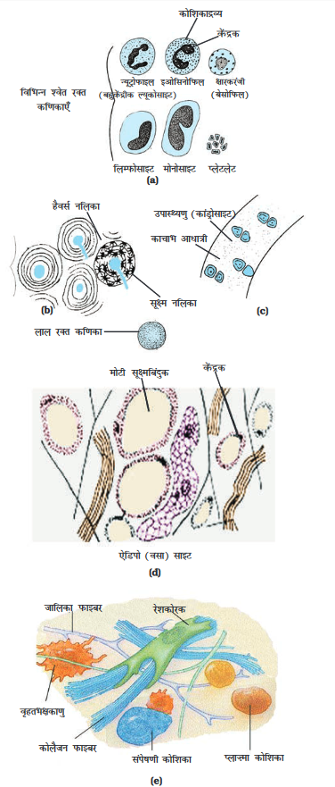 Screenshot-2018-5-29 CHAP 6 pmd - Chap 6 pdf(11)