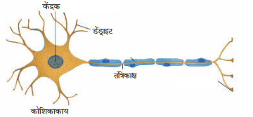 Screenshot-2018-5-29 CHAP 6 pmd - Chap 6 pdf(14)