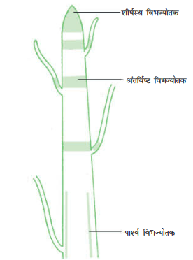 Screenshot-2018-5-29 CHAP 6 pmd - Chap 6 pdf(2)