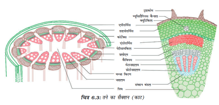 Screenshot-2018-5-29 CHAP 6 pmd - Chap 6 pdf(3)