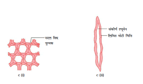 Screenshot-2018-5-29 CHAP 6 pmd - Chap 6 pdf(5)