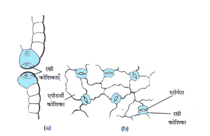 Screenshot-2018-5-29 CHAP 6 pmd - Chap 6 pdf(6)