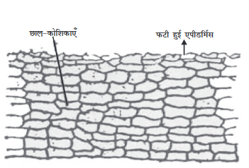 Screenshot-2018-5-29 CHAP 6 pmd - Chap 6 pdf(7)