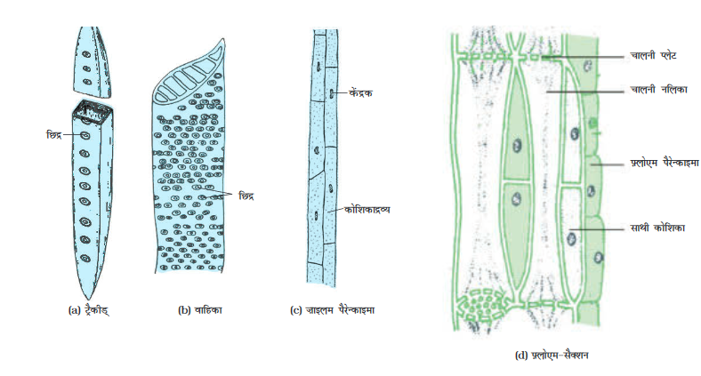 Screenshot-2018-5-29 CHAP 6 pmd - Chap 6 pdf(8)