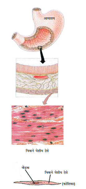 Screenshot-2018-5-29 CHAP 6 pmd - Chap 6 pdf(9)