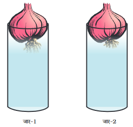 Screenshot-2018-5-29 CHAP 6 pmd - Chap 6 pdf