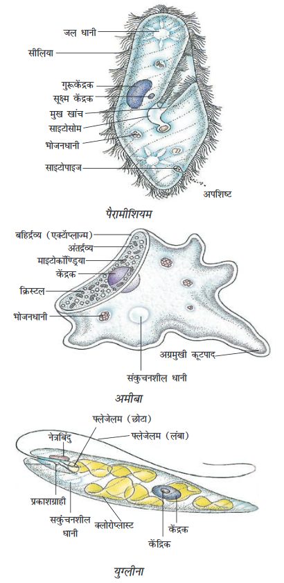 Screenshot-2018-5-29 CHAP 7 pmd - Chap 7 pdf(1)