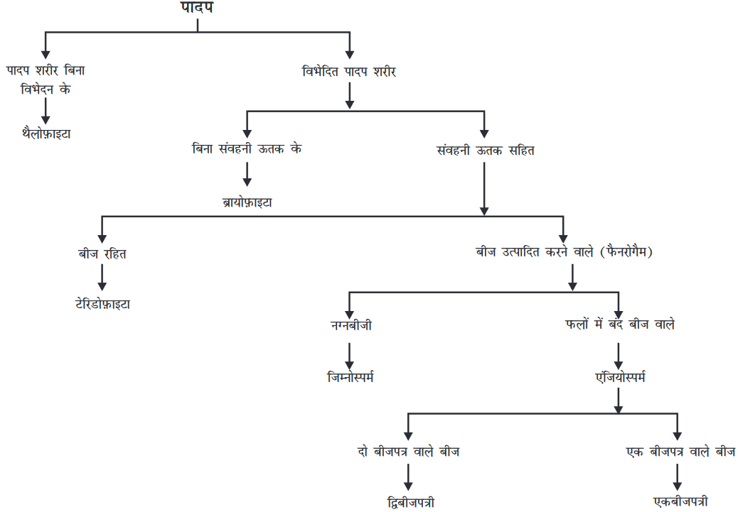 Screenshot-2018-5-29 CHAP 7 pmd - Chap 7 pdf(10)