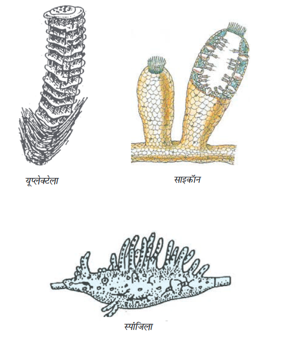 Screenshot-2018-5-29 CHAP 7 pmd - Chap 7 pdf(11)