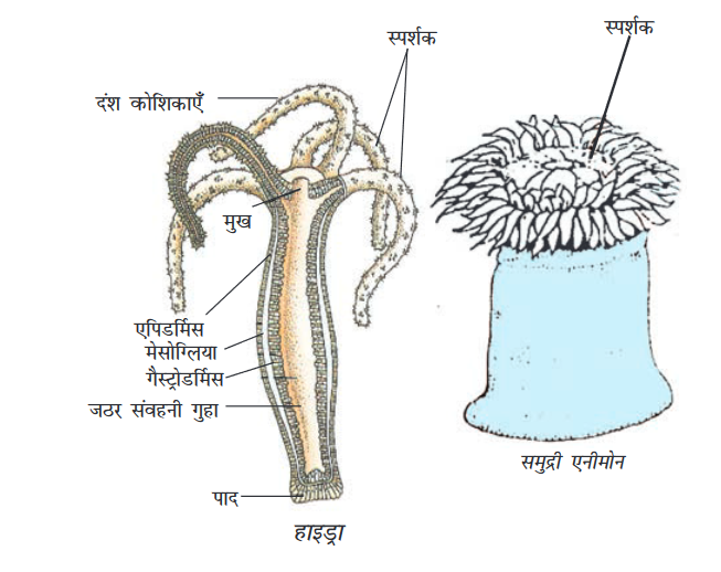 Screenshot-2018-5-29 CHAP 7 pmd - Chap 7 pdf(12)