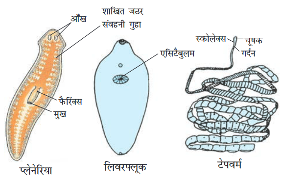 Screenshot-2018-5-29 CHAP 7 pmd - Chap 7 pdf(13)