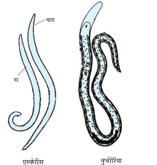 Screenshot-2018-5-29 CHAP 7 pmd - Chap 7 pdf(14)