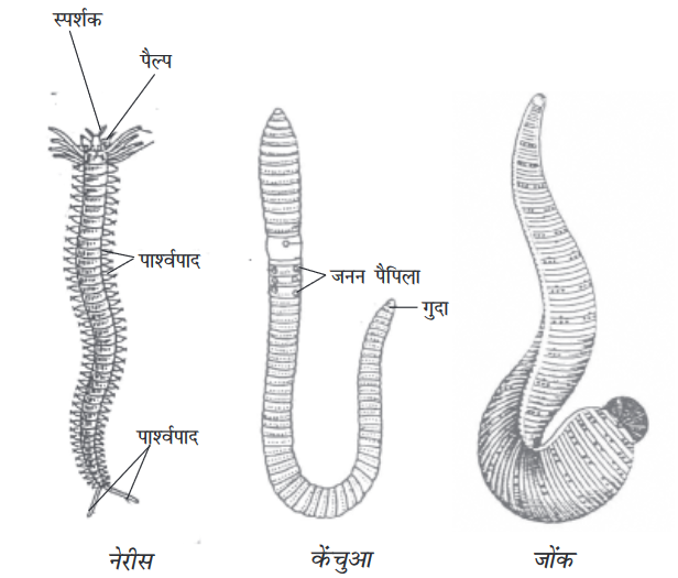 Screenshot-2018-5-29 CHAP 7 pmd - Chap 7 pdf(16)