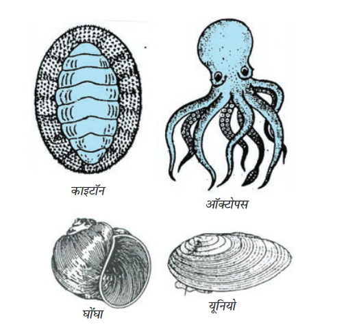 Screenshot-2018-5-29 CHAP 7 pmd - Chap 7 pdf(17)
