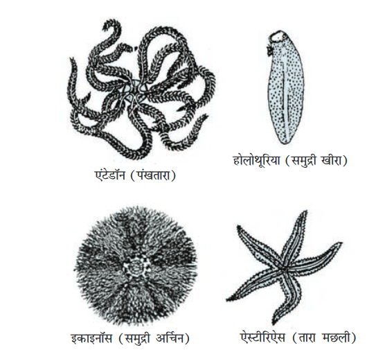 Screenshot-2018-5-29 CHAP 7 pmd - Chap 7 pdf(19)