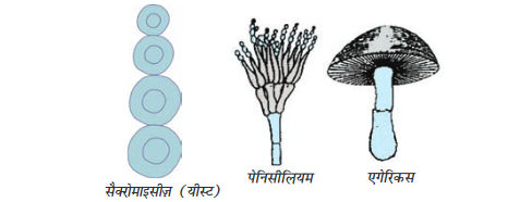 Screenshot-2018-5-29 CHAP 7 pmd - Chap 7 pdf(2)