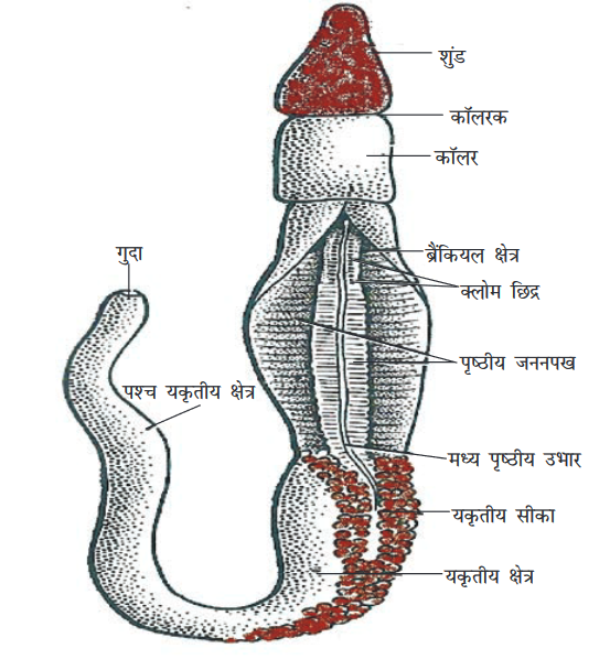 Screenshot-2018-5-29 CHAP 7 pmd - Chap 7 pdf(20)