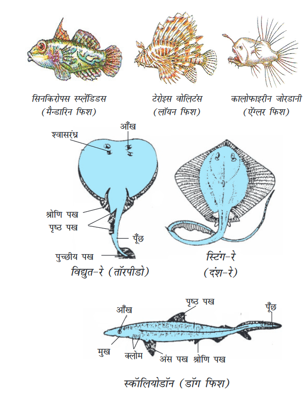 Screenshot-2018-5-29 CHAP 7 pmd - Chap 7 pdf(23)