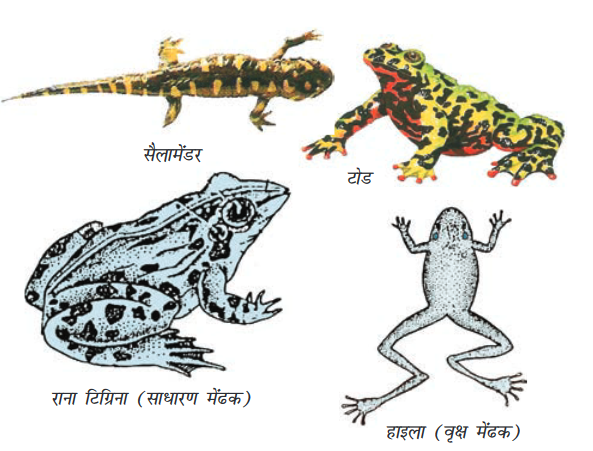 Screenshot-2018-5-29 CHAP 7 pmd - Chap 7 pdf(24)