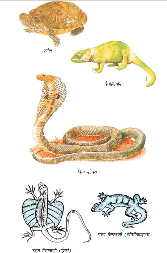 Screenshot-2018-5-29 CHAP 7 pmd - Chap 7 pdf(25)