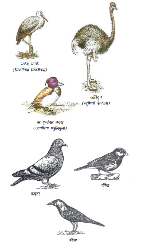 Screenshot-2018-5-29 CHAP 7 pmd - Chap 7 pdf(26)