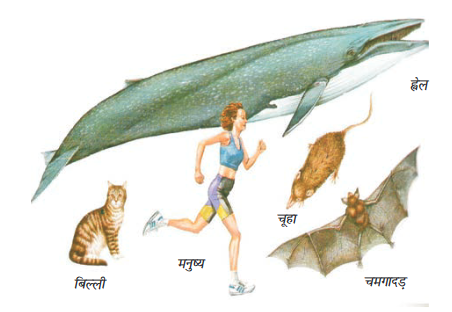 Screenshot-2018-5-29 CHAP 7 pmd - Chap 7 pdf(27)