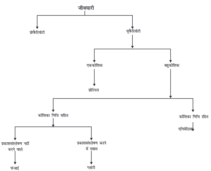 Screenshot-2018-5-29 CHAP 7 pmd - Chap 7 pdf(3)