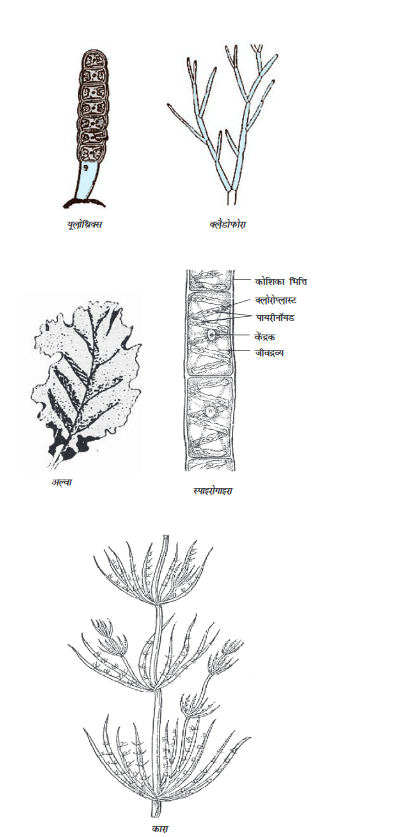 Screenshot-2018-5-29 CHAP 7 pmd - Chap 7 pdf(4)