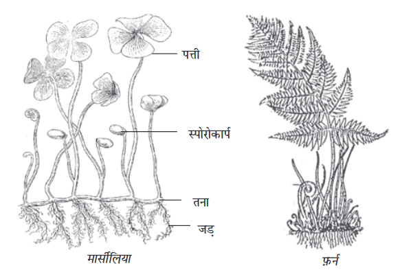 Screenshot-2018-5-29 CHAP 7 pmd - Chap 7 pdf(5)