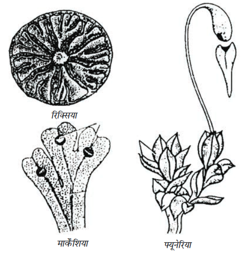 Screenshot-2018-5-29 CHAP 7 pmd - Chap 7 pdf(6)