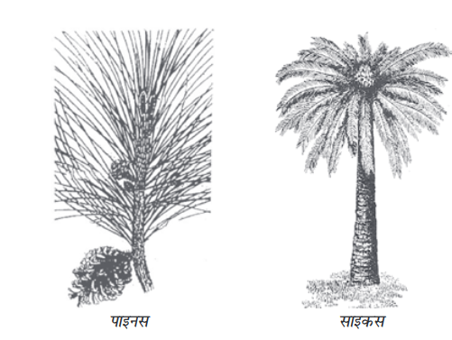 Screenshot-2018-5-29 CHAP 7 pmd - Chap 7 pdf(7)