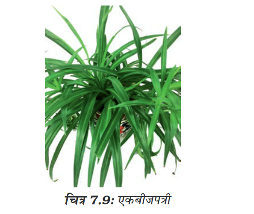 Screenshot-2018-5-29 CHAP 7 pmd - Chap 7 pdf(8)