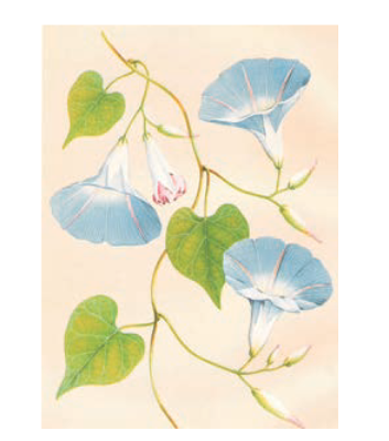 Screenshot-2018-5-29 CHAP 7 pmd - Chap 7 pdf(9)