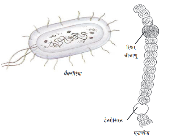 Screenshot-2018-5-29 CHAP 7 pmd - Chap 7 pdf