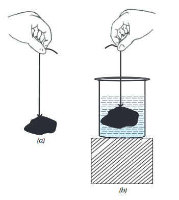 Screenshot-2018-5-30 CHAP 10 pmd - Chap 10 pdf(18)