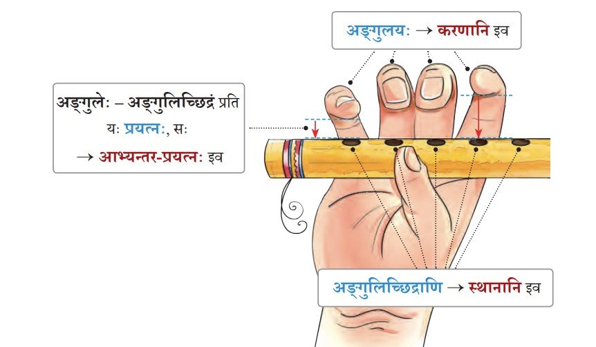 flute-diagram