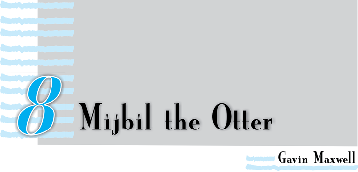 Majbil%20the%20Otter.tif