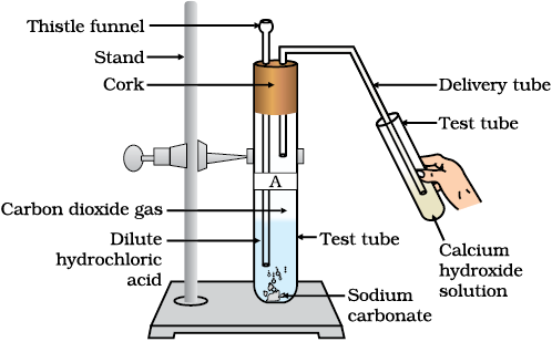 02: Acids; bases and salts / Science