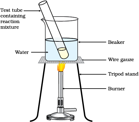 04: Carbon and its compounds / Science