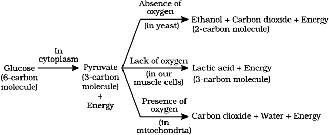 1540.png