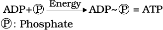 1976.png