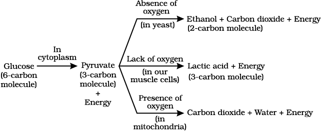 1540.png