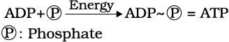 1976.png