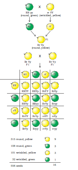 1047